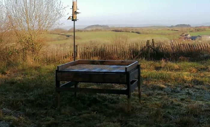 Llyn Llech Owain Country Park Bird Feeding Station